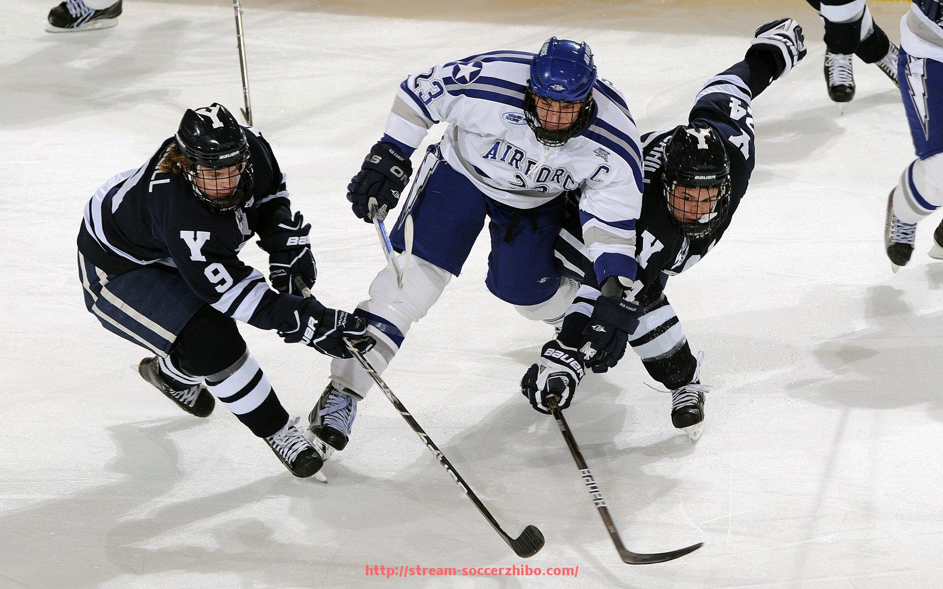 足球直播-火箭队季前赛现场直播入口及对阵信息汇总